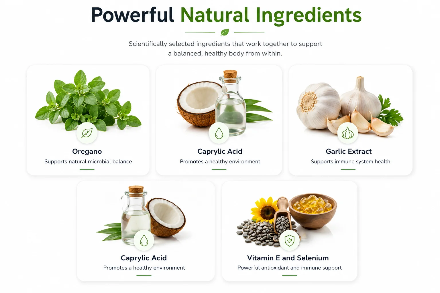 Fungus Break Pro Supplement Facts Label Showing Ingredients and Dosages