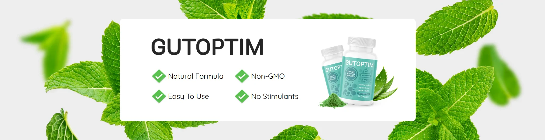 GutOptim Official Pricing Packages