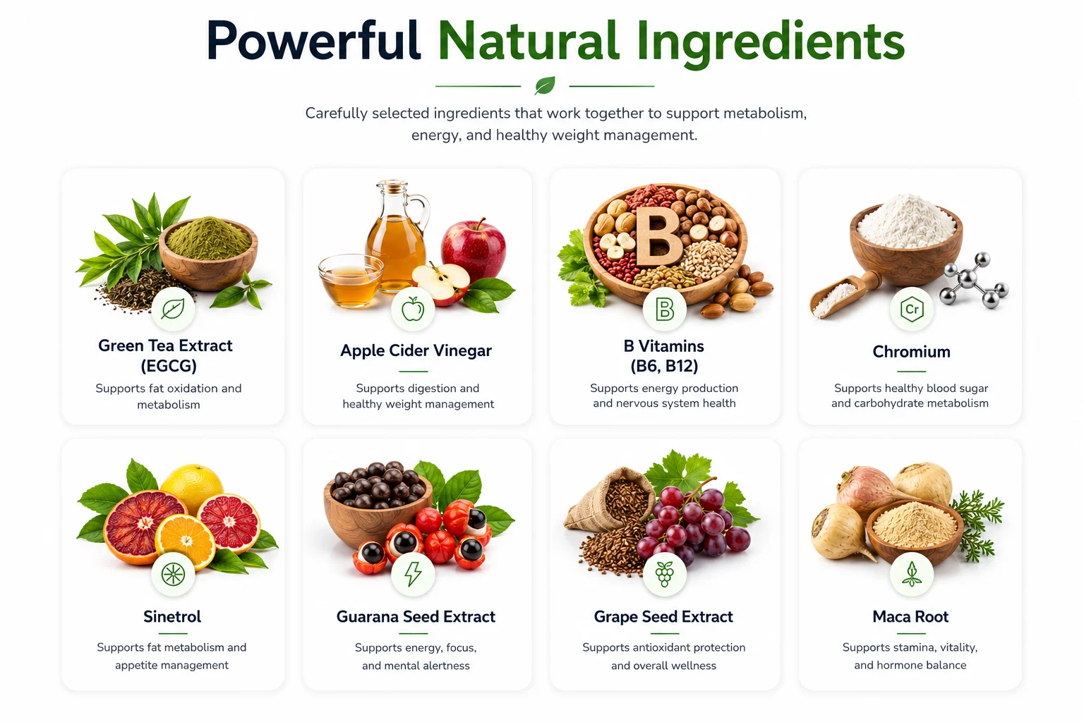 Patriot Slim Shot Ingredients and Nutritional Profile Showing Key Active Compounds