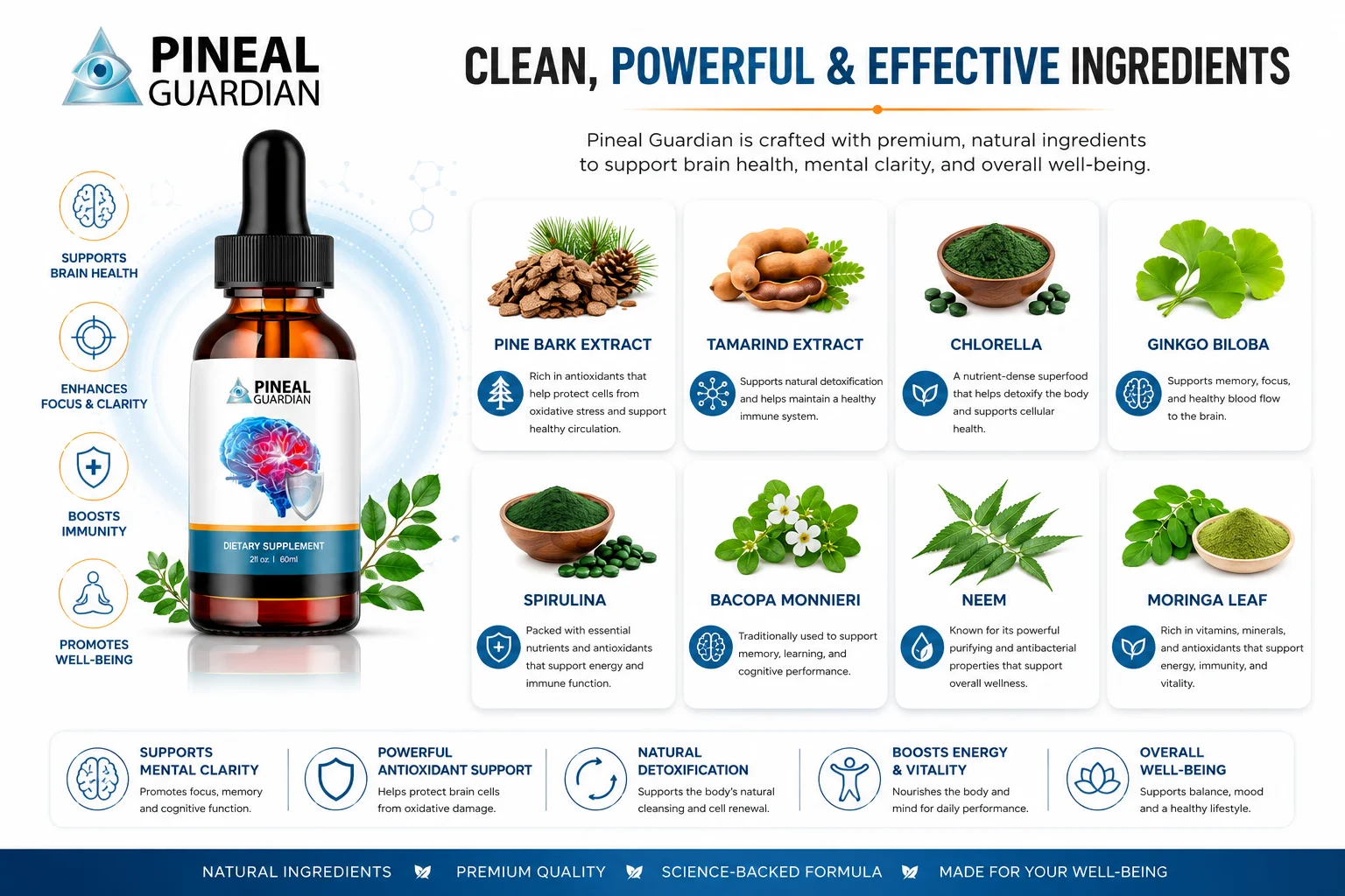 Pineal Guardian ingredients label showing Pine Bark Extract Chlorella and Bacopa Monnieri