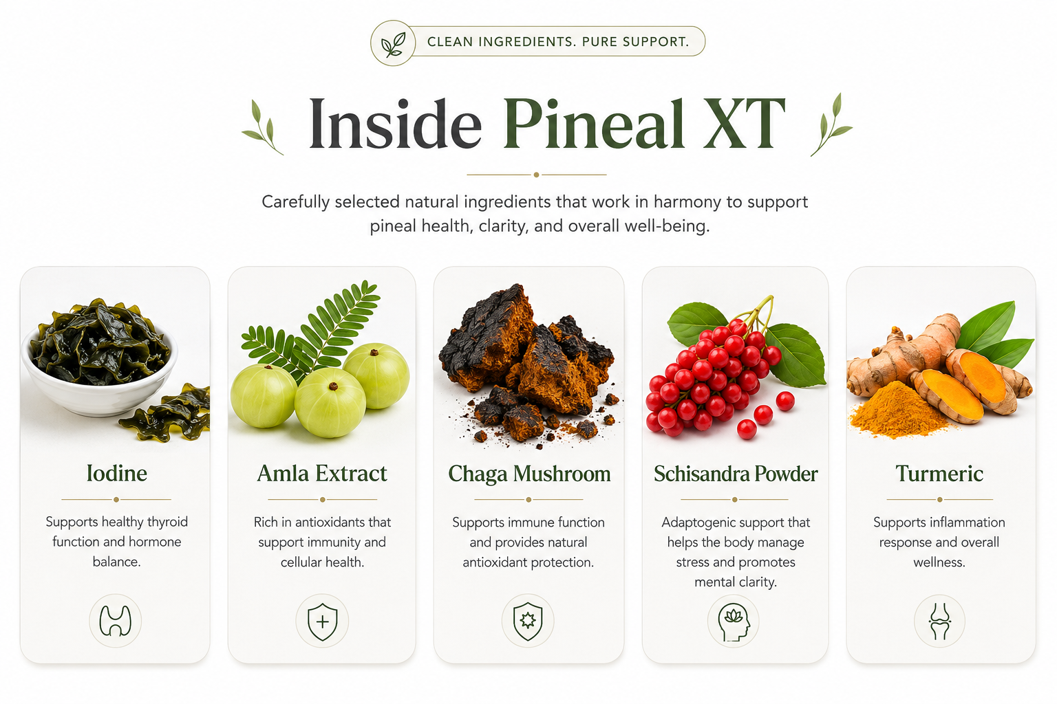 Pineal XT ingredients list