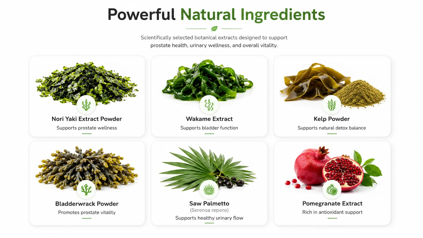 Prostadine ingredients list