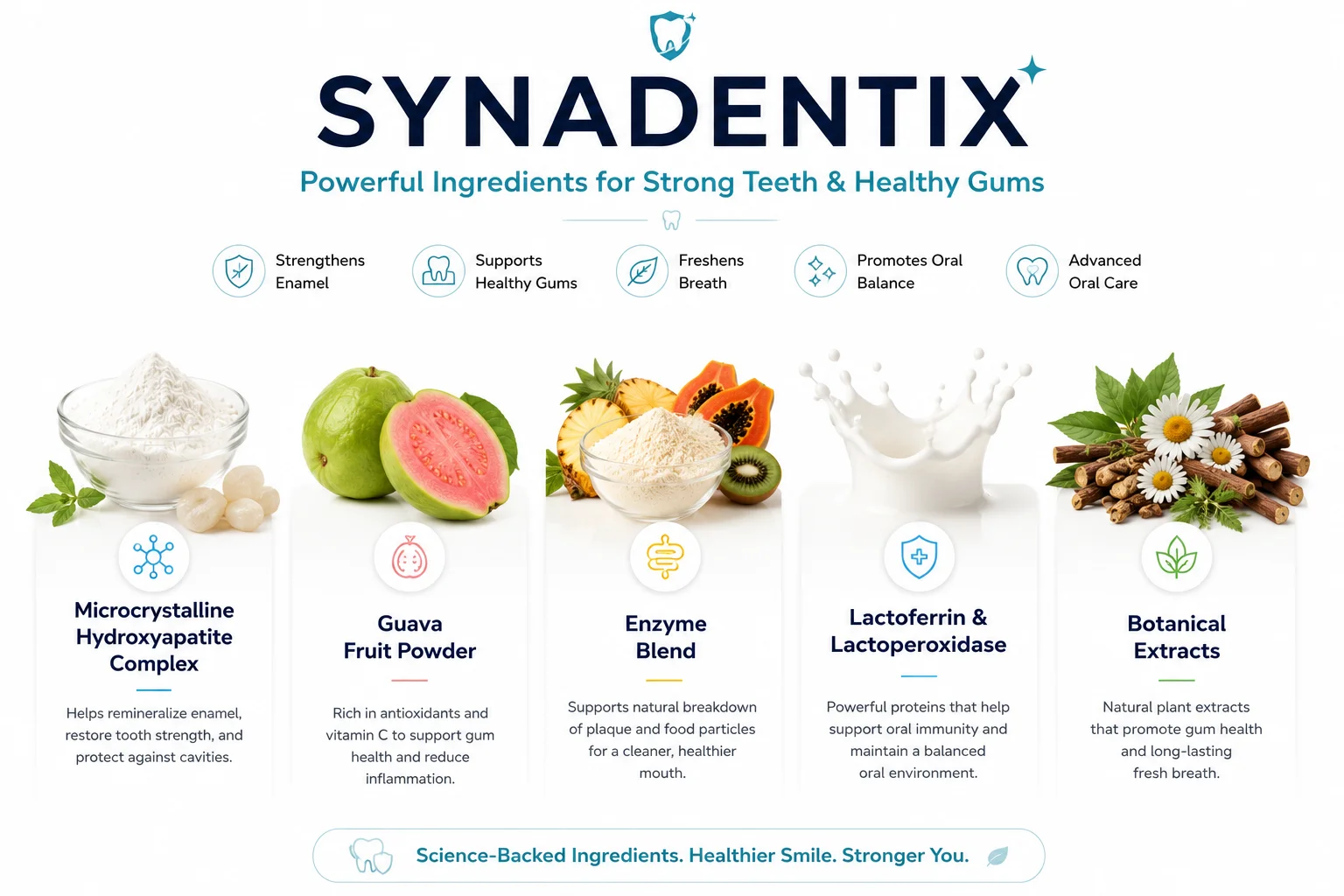 Synadentix ingredient list and nutritional information